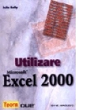 Utilizare Excel 2000
