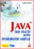 JAVA, ghid practic pentru programatori avansati