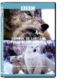 CAMPUL DE LUPTA AL LUPULUI SI URSULUI POLAR (DVD)