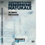 Surprinz&#259;toare fenomene naturale 3 (Ape furioase, M&#259;ri s&#259;lbatice)