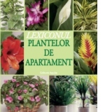 Lexiconul plantelor de apartament