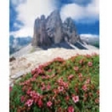 Puzzle 500 High Quality - Tre cime di Lavaredo - Dolomiti