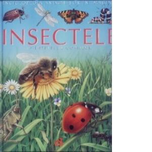 povestea lui mos nicolae pe intelesul copiilor Insectele pe intelesul copiilor
