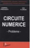 Circuite numerice. Probleme