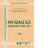 Matematica M1. Manual pentru clasa a XI-a