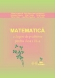 Matematica. Culegere de probleme pentru clasa a IX-a