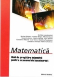 MATEMATICA. GHID DE PREGATIRE INTENSIVA PENTRU EXAMENUL DE BACALAUREAT