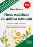 Plante medicinale din gradina Domnului. Sfaturi bune din Biblia mea de leacuri pentru pastrarea sanatatii si bunastarii