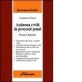 Actiunea civila in procesul penal - Practica judiciara