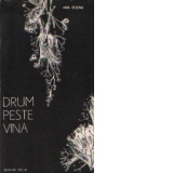 Drum peste vina