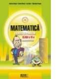 Matematica. Exercitii si probleme. Clasa a VI-a, semestrul al II-lea