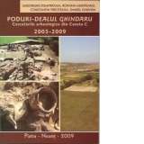 Poduri - Dealul Ghindaru. Cercetarile arheologice din caseta C (2005-2009)