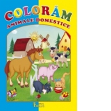 Coloram animale domestice