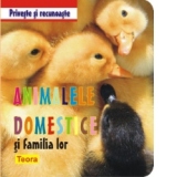 Priveste si recunoaste animalele domestice si familia lor