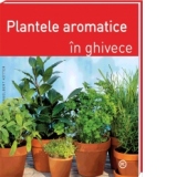 PLANTELE AROMATICE IN GHIVECE