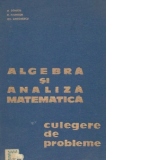 Algebra si analiza matematica - culegere de probleme, Volumul I