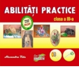 Abilitati practice pentru cls. a III-a