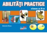 Abilitati practice clasa a II-a