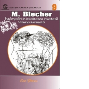 Nr. 9 - M. Blecher - Intamplari in irealitatea imediata. Vizuina