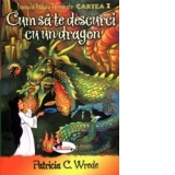 Cum sa te descurci cu un dragon