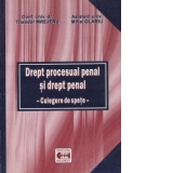 Drept procesual penal si drept penal. Culegere de spete