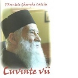 Cuvinte vii