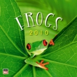 Frog [2010]