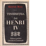 Tineretea lui Henri IV