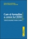 Cum sa formulam o cerere la CEDO - Explicatii, jurisprudenta, formulare si modele