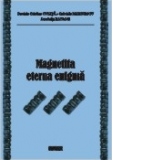 Magnetita eterna enigma