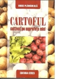 Cartoful cultivat pe suprafete mici