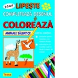 Completeaza desenul si coloreaza animale salbatice