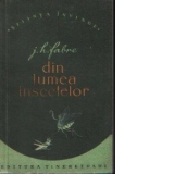 Din lumea insectelor