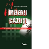 INGERII CAZUTI