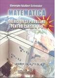 Matematica. Exercitii si probleme pentru clasa a X-a