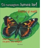 Sa cunoastem lumea lor - Fluturi si molii