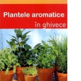 Plante aromatice in ghivece