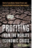 Profiting From The Worlds Economic Crisis - Finding investment opportunities by tracking global market trends