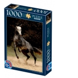 Puzzle 1000 piese - Cal sur