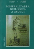 Mineralizarea biologica a osului