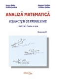 Analiza Matematica - Exercitii si probleme pentru clasa a XI-a, semestrul I