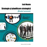 Strategie si planificare strategica. Proiect economic