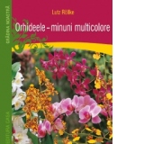 Orhideele - minuni multicolore