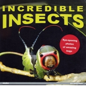 Incredible Insects