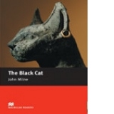 The Black Cat