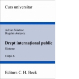 Drept international public. Sinteze Editia 6