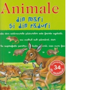 Picto-abtibilduri - Animale din mari si din paduri