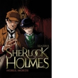 Tanarul Sherlock Holmes. Norul mortii