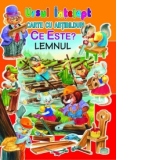 Ce este? Lemnul (carte cu abtibilduri)