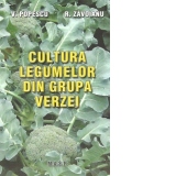 Cultura legumelor din grupa verzei